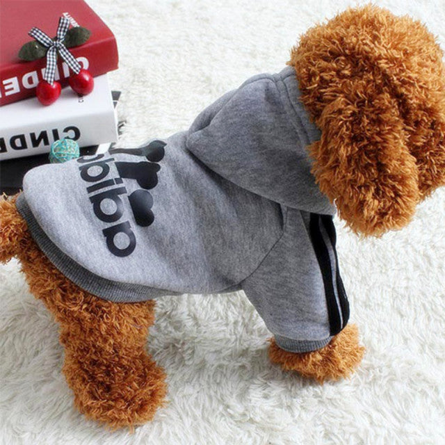 Pet Sweatshirt - Pawfect Wonderland