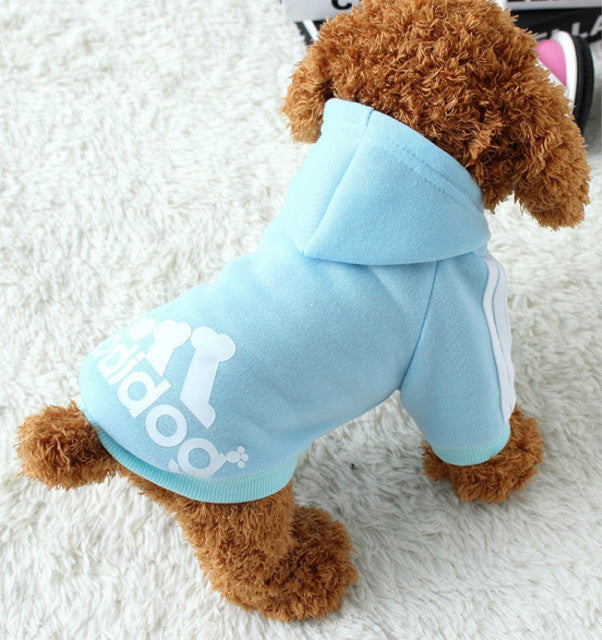 Pet Sweatshirt - Pawfect Wonderland