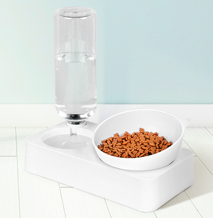 Pet Feeder and Water - Pawfect Wonderland