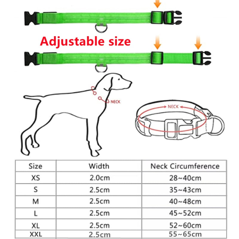 Luminous Dog Collar - Pawfect Wonderland