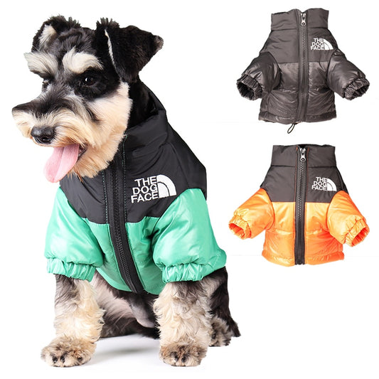 Windproof Reflective Dog Jacket - Pawfect Wonderland