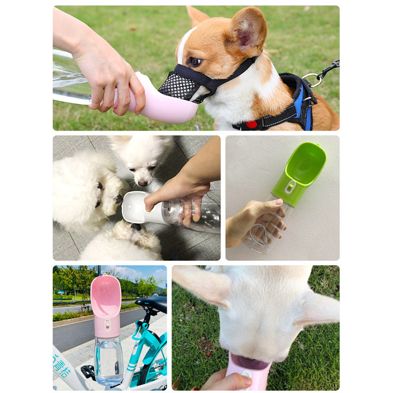 Multifunction Pet Bottle - Pawfect Wonderland