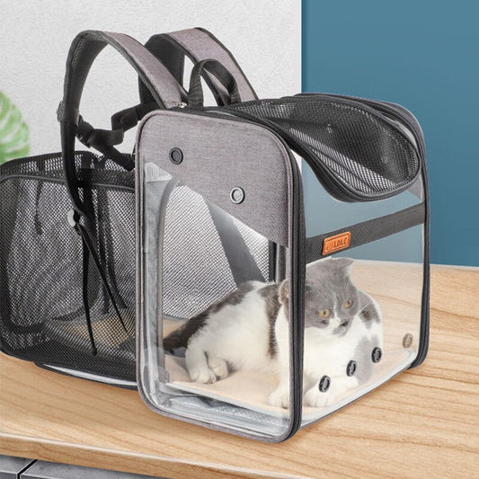 Pet Expandable Backpack - Pawfect Wonderland