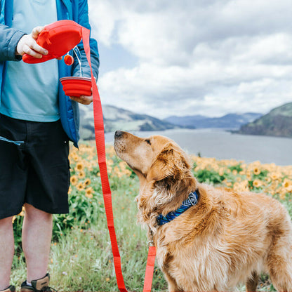 Multifunctional Pet Leash - Pawfect Wonderland