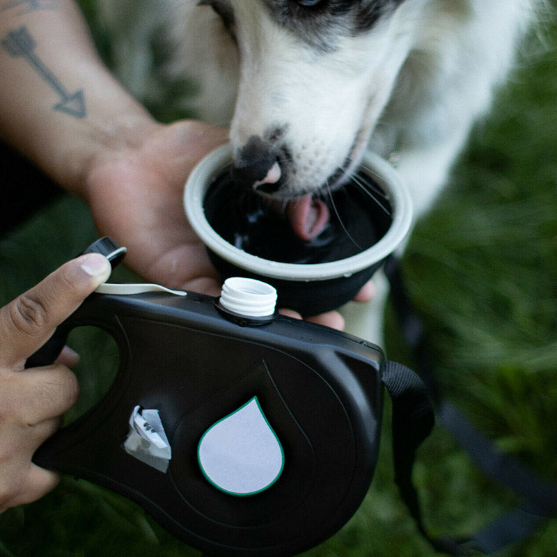 Multifunctional Pet Leash - Pawfect Wonderland