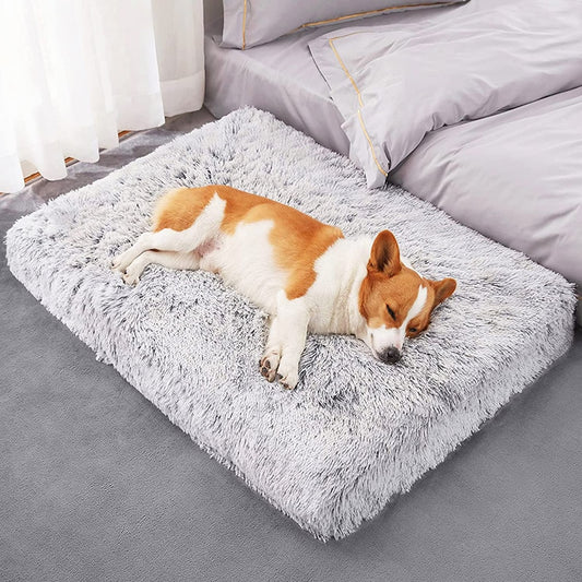 Plush Washable Dog Bed - Pawfect Wonderland