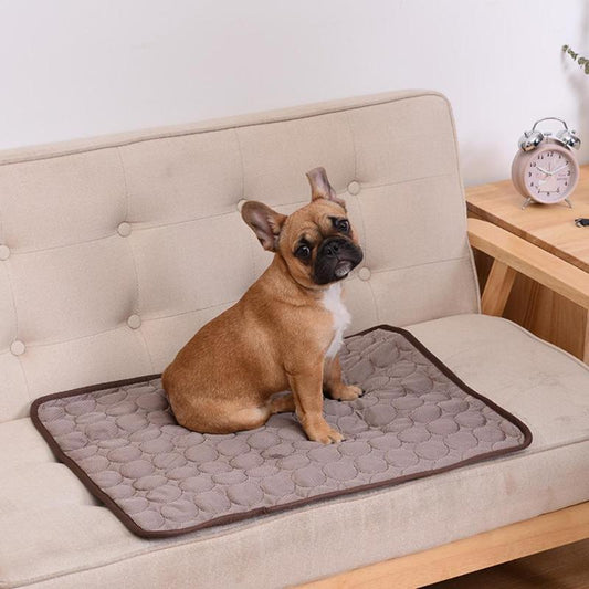 Pet Breathable Sofa Blanket - Pawfect Wonderland