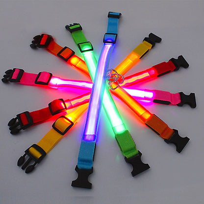 Luminous Dog Collar - Pawfect Wonderland