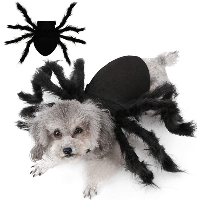 Spider Costume for Pets - Pawfect Wonderland