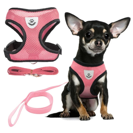 Adjustable Vest Pet Harness - Pawfect Wonderland