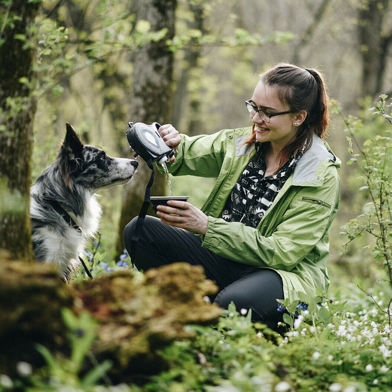 Multifunctional Pet Leash - Pawfect Wonderland