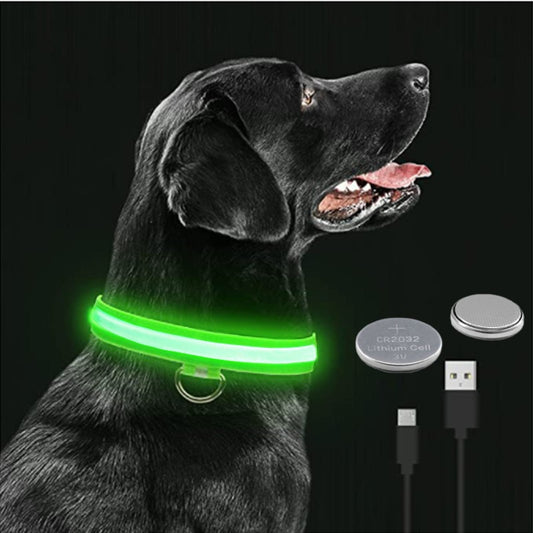 Luminous Dog Collar - Pawfect Wonderland