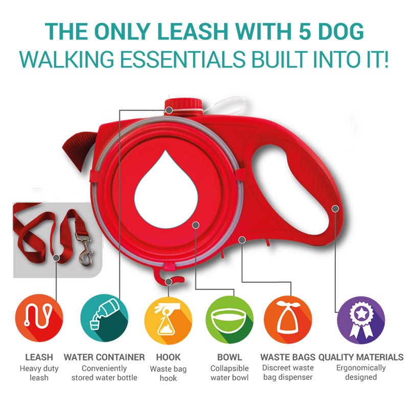 Multifunctional Pet Leash - Pawfect Wonderland