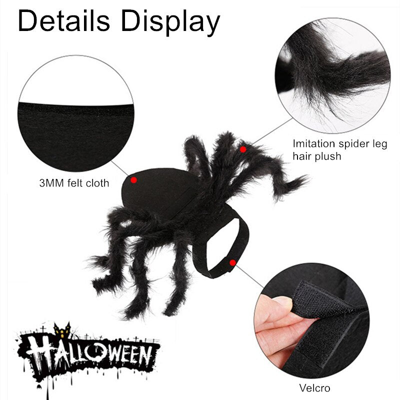 Spider Costume for Pets - Pawfect Wonderland